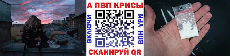 Купить где  Торопец  Alfa_PVP мука 