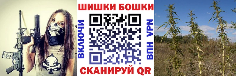 Купить закладки  Торопец  Конопля планчик 